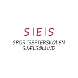 itagil reference - sportsefterskolen sjælsølund - testimonial
